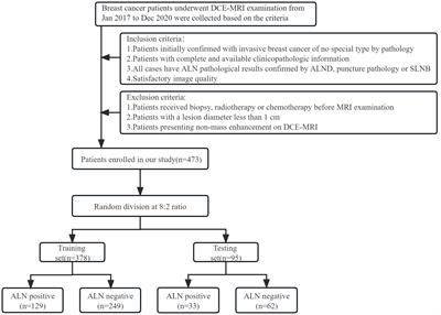 Clinical study on the prediction of ALN metastasis based on intratumoral and peritumoral DCE-MRI radiomics and clinico-radiological characteristics in breast cancer